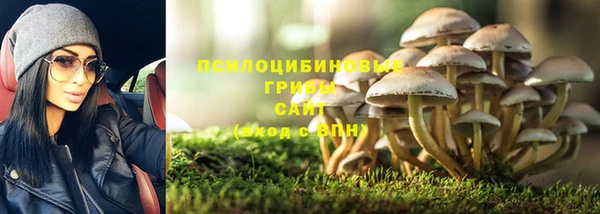 бошки Лихославль